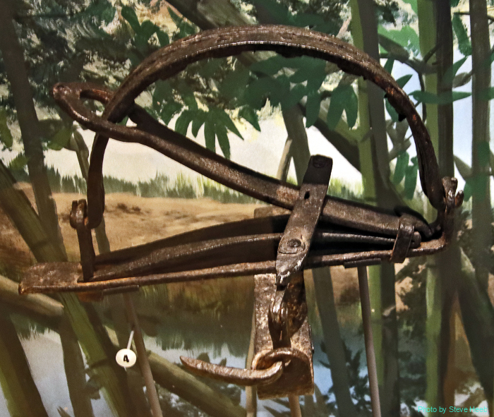 Bear Trap