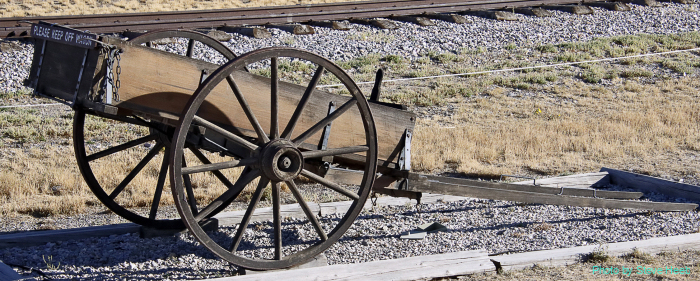 Wagon and Cart (Golden Spike)
