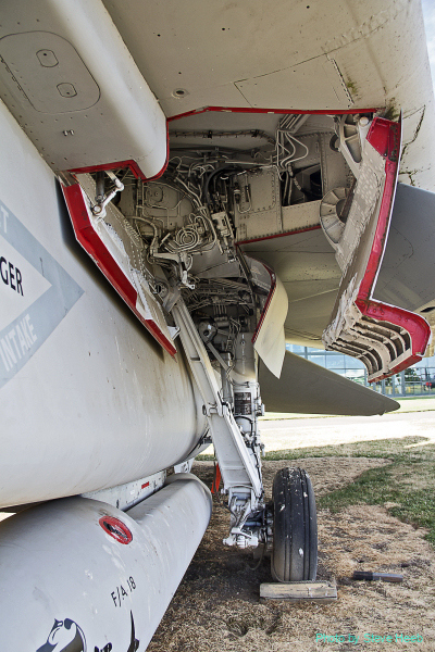 F-14-Evergreen-2018-07-01-8671.jpg-nggid