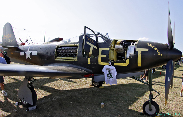 ペゴパ P-63 Kingcobra (multiple) – Preserving our History