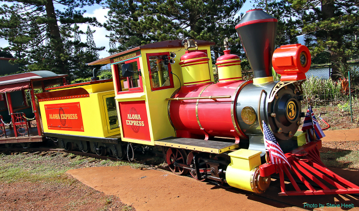 Dole Plantation "Aloha Express"
