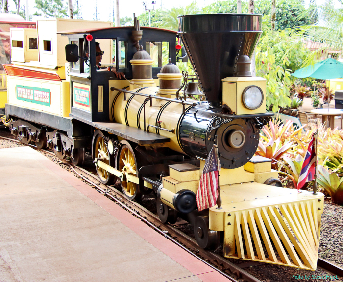 Dole Plantation "Pineapple Express"